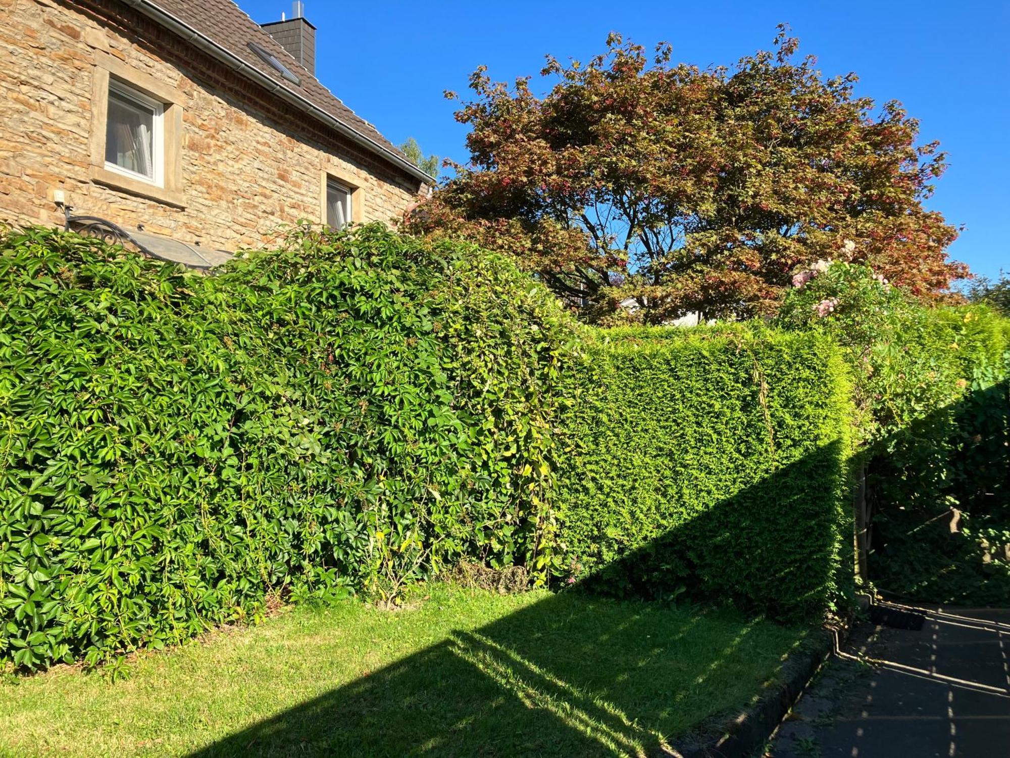 Ferienwohnung Im Gruenen Eg Mit Terrasse Herdecke Ngoại thất bức ảnh